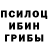 Псилоцибиновые грибы ЛСД Baza Dumbaza