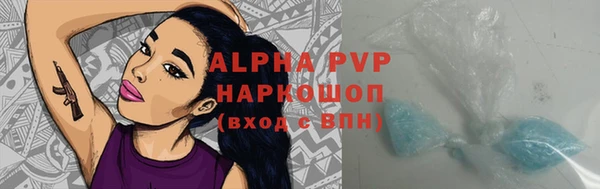 винт Абаза