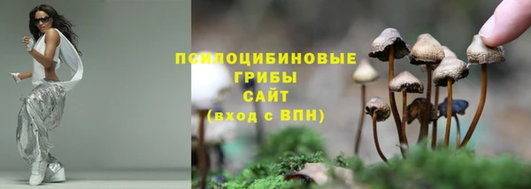 винт Абаза