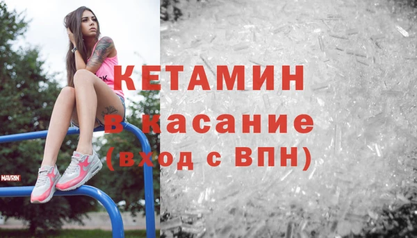 индика Алзамай