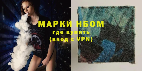 индика Алзамай