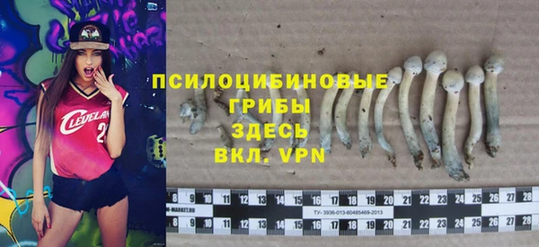 индика Алзамай