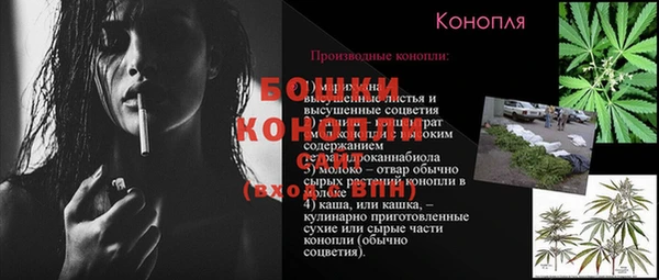спайс Алексин