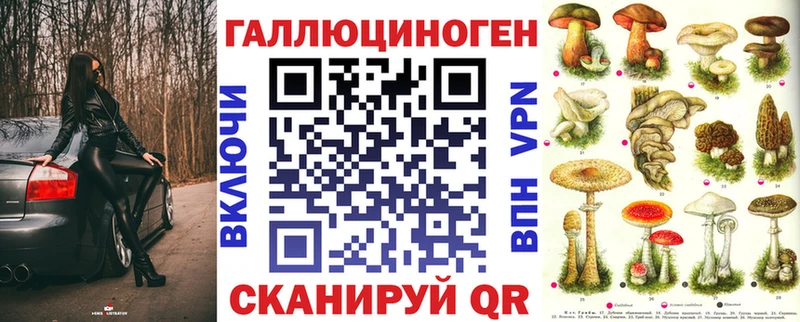 Псилоцибиновые грибы Psilocybine cubensis  Злынка 