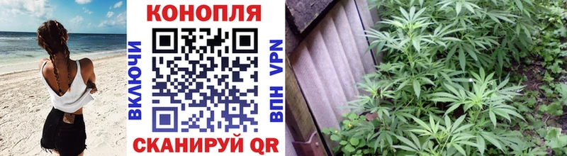МАРИХУАНА AK-47 Злынка